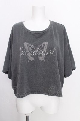 Preview of ビジューロゴショートTシャツ  グレー