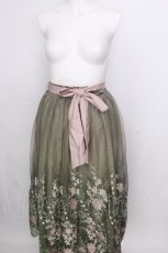 画像1: axes femme / グラデチュール刺繍スカート  グリーン S-26-09-05-055-AX-SK-HR-ZS (1)