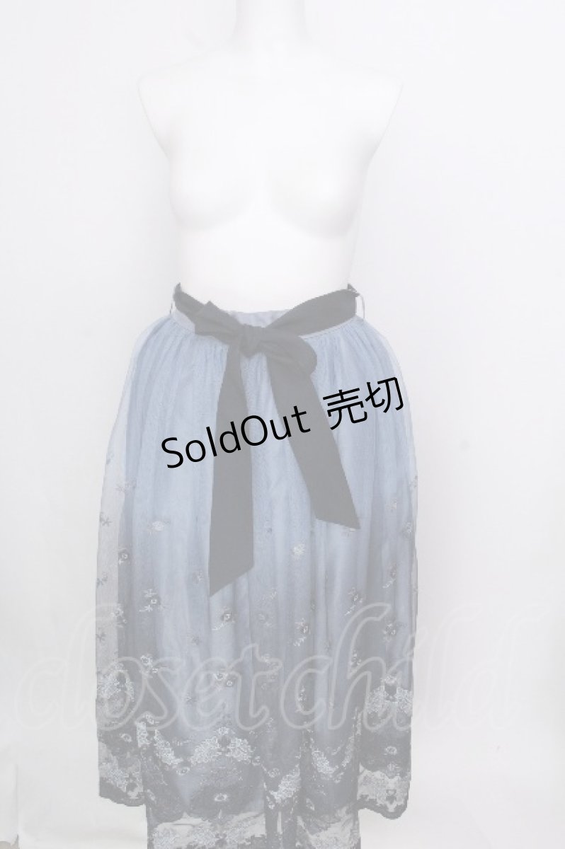 画像1: axes femme / グラデチュール刺繍スカート  ブルー S-26-09-05-056-AX-SK-HR-ZS (1)