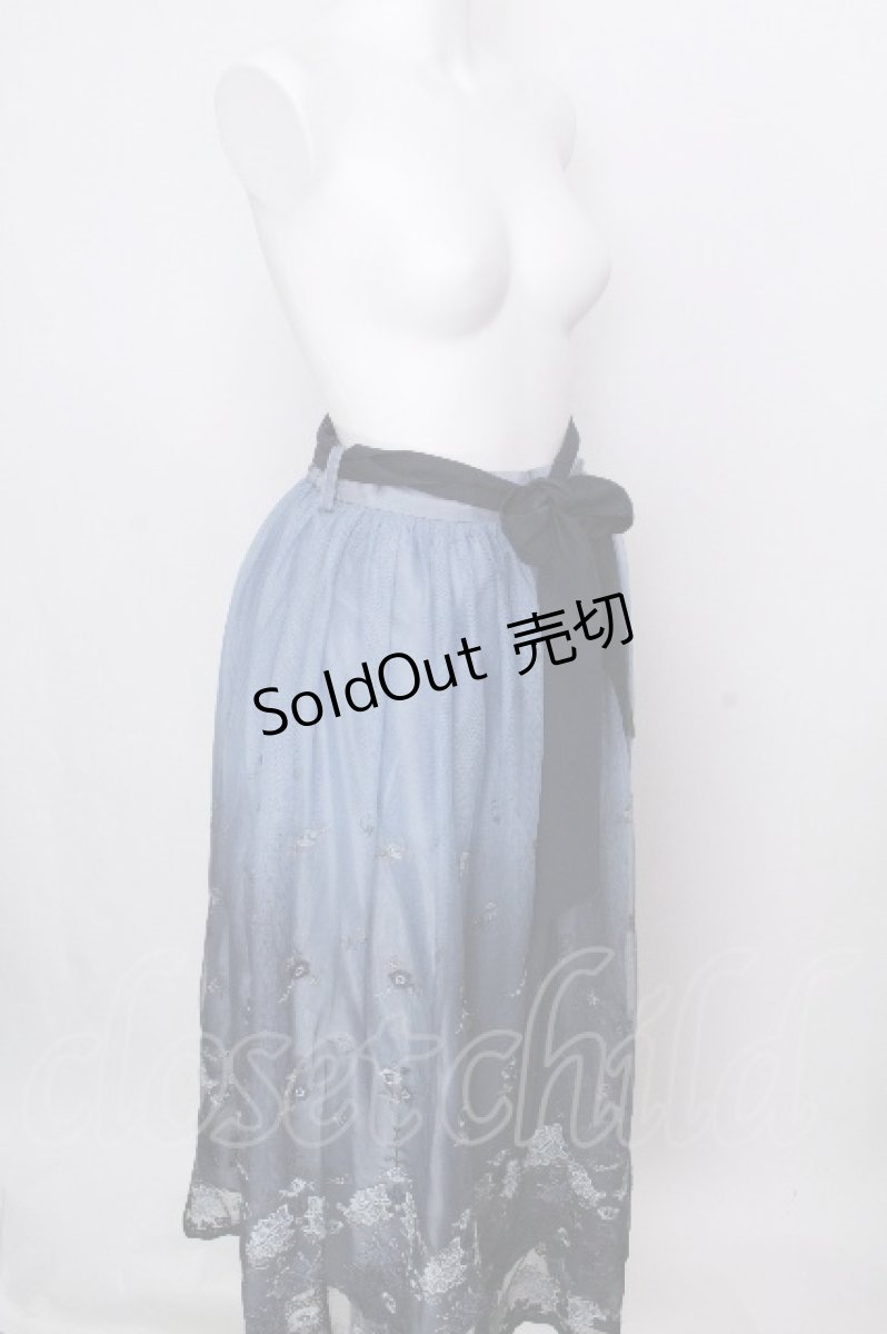画像3: axes femme / グラデチュール刺繍スカート  ブルー S-26-09-05-056-AX-SK-HR-ZS (3)