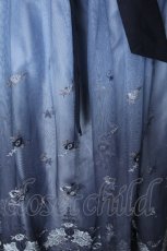 画像4: axes femme / グラデチュール刺繍スカート  ブルー S-26-09-05-056-AX-SK-HR-ZS (4)