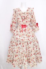画像1: heavenly garden / ローズラッフルサロンドレス  オフ S-26-09-17-038-LO-OP-AS-ZS (1)