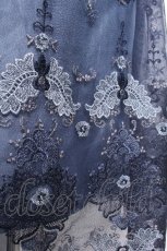画像3: axes femme / グラデチュール刺繍スカート  ブルー S-26-10-01-050-AX-SK-HR-ZS (3)