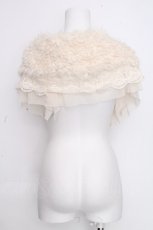 画像2: axes femme POETIQUE / レーシーファーティペット  キナリ S-26-10-20-004-AX-ZA-TE-ZS (2)
