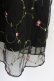 画像6: axes femme POETIQUE / 花刺繍チュールワンピース  黒 T-23-11-09-026-AX-OP-UT-ZT301