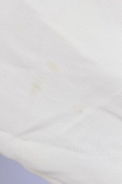 画像5: an another angelus / シフォンフリルトップス  アイボリー T-24-02-14-037-CA-TO-HD-ZT159