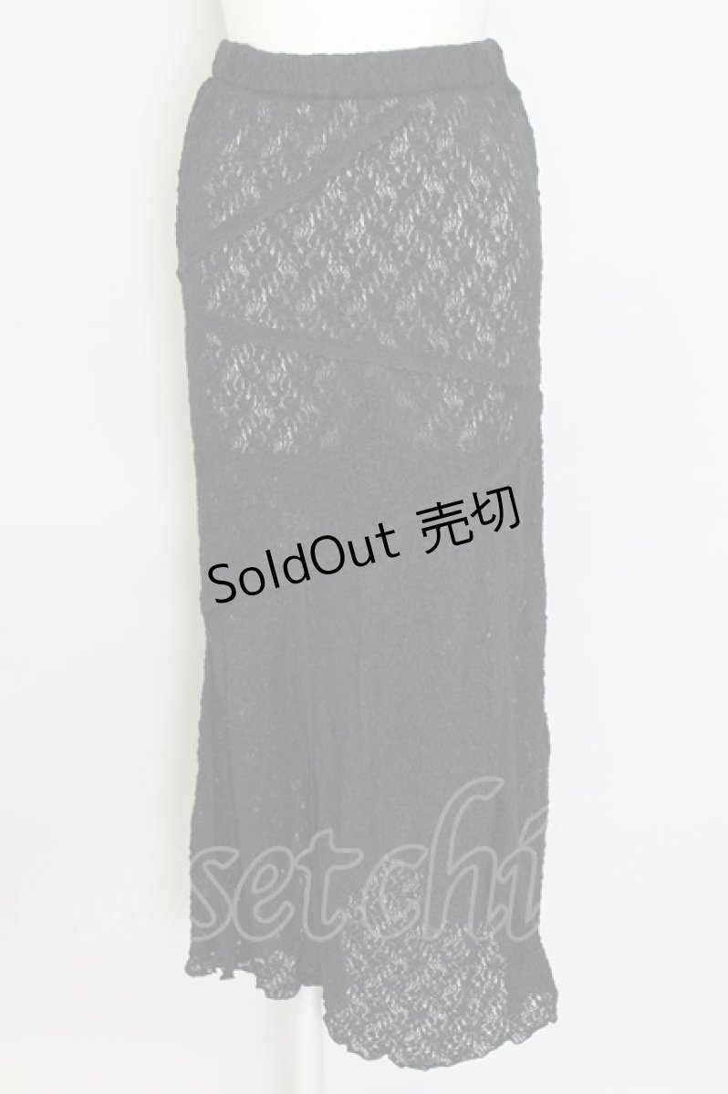 画像1: 【SALE】INGEBORG / 総レーススカート  黒 T-24-02-18-056-LO-SK-HD-ZT365 (1)