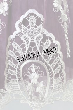 画像3: axes femme kawaii / 刺繍スカート  ワイン T-24-03-04-033-AX-SK-AS-OS