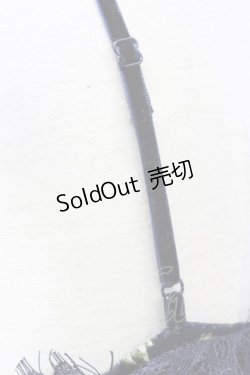 画像5: 【SALE】E hyphen world gallery HARU / ローズベロアキャミワンピース  クロ T-24-03-21-025-LO-OP-IG-ZT354