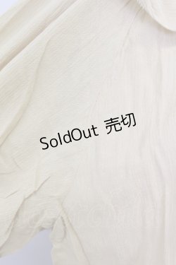 画像6: axes femme / レース襟ブラウスプル F イエロー T-24-06-15-009-AX-BL-SZ-ZT302