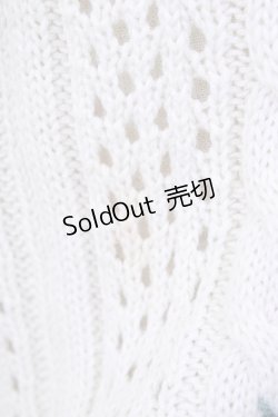 画像5: F&A / ローズ刺繍透かし編みカーディガン  アイボリーＸ青 T-24-11-07-035-LO-SK-HD-ZT144