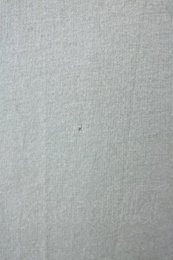 画像3: F i.n.t / フラワーモチーフ&シースルー袖トップス  グリーン T-24-12-13-004-CA-TO-HD-ZT104