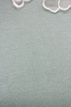 画像6: F i.n.t / フラワーモチーフ&シースルー袖トップス  グリーン T-24-12-13-004-CA-TO-HD-ZT104