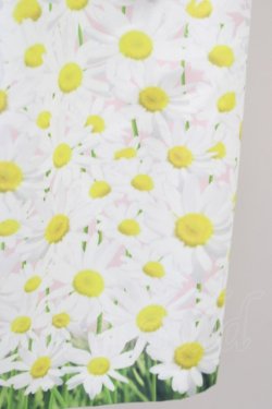 画像6: MILK / Daisy field LADY ドレス  ピンク T-25-01-17-018-ML-OP-HD-ZI