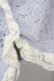 画像6: Swankiss / パールビジューベルトレースショートパンツ  サックスＸ白 T-25-01-24-025-CA-PA-SA-ZT074