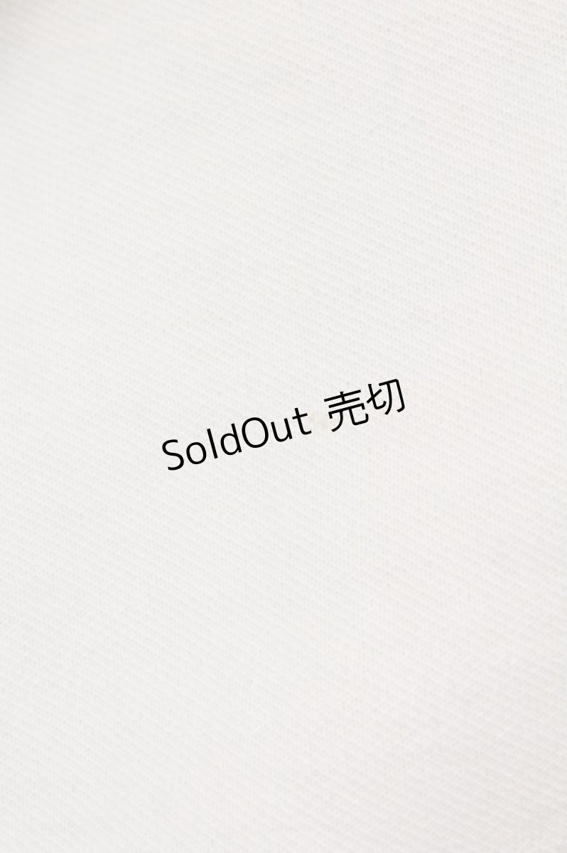 画像5: 【SALE】PINK HOUSE / 縦フリルラインペンシルスカート  アイボリー T-25-02-23-027-LO-SK-SA-ZT121 (5)