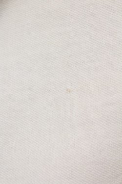 画像5: PINK HOUSE / 縦フリルラインペンシルスカート  アイボリー T-25-02-23-027-LO-SK-SA-ZT121