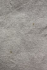 画像9: 【SALE】NATURE TRAIL / クマワッペンチノスカート L ベージュ T-25-02-23-028-LO-SK-SA-ZT121 (9)