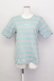 画像1: KANEKO ISAO / ボーダーTシャツ  グレー×サックス T-25-02-23-009-EL-TS-SA-ZT219 (1)