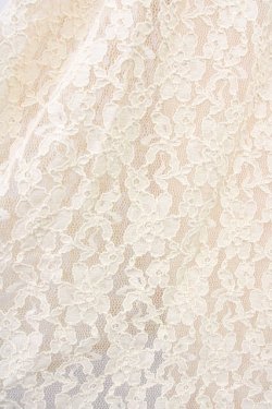 画像7: Fi.n.t / 丸衿総レースワンピース  アイボリー T-25-03-14-015-CA-OP-SA-ZI