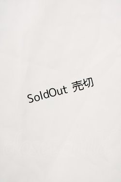 画像5: an another angelus / ローズレース使いプルオーバー  ベージュ T-25-03-14-013-CA-BL-SA-ZI