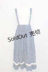 axes femme / ロングスカート   T-25-03-15-033-AX-SK-SA-ZT405