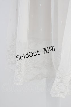 画像3: 【SALE】F&A / 裾刺繍チュールスカート  アイボリー T-25-03-19-028-LO-SK-HD-ZT375