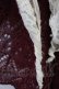 画像6: axes femme / トップス   T-25-03-19-016-AX-TO-HD-ZT