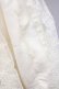 画像5: ATELIER PIERROT / Shirring princess sleeve blouse  アイボリー T-25-03-20-005-EL-BL-SA-ZT001 (5)
