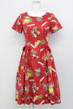 画像1: Jane Marple / Juicy fruitsパネルドレス  赤 T-25-03-27-022-JM-OP-SA-ZI