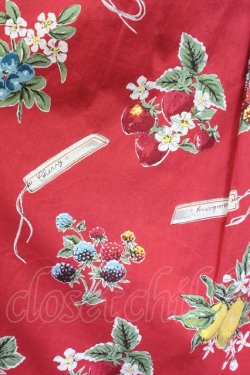 画像3: Jane Marple / Juicy fruitsパネルドレス  赤 T-25-03-27-022-JM-OP-SA-ZI