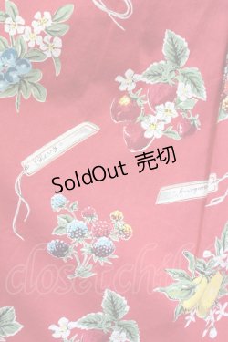 画像3: Jane Marple / Juicy fruitsパネルドレス  赤 T-25-03-27-022-JM-OP-SA-ZI