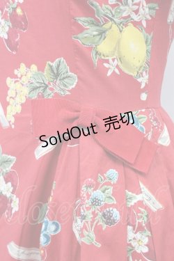 画像4: Jane Marple / Juicy fruitsパネルドレス  赤 T-25-03-27-022-JM-OP-SA-ZI