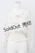 an another angelus / バラ刺繍シースルーブラウス  オフホワイト T-25-03-30-007-CA-BL-SA-ZT