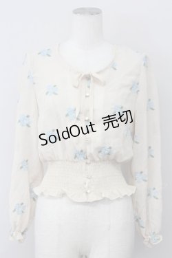 画像1: an another angelus / バラ刺繍シースルーブラウス  オフホワイト T-25-03-30-007-CA-BL-SA-ZT