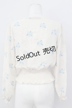 画像2: an another angelus / バラ刺繍シースルーブラウス  オフホワイト T-25-03-30-007-CA-BL-SA-ZT