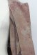 画像7: axes femme / ペプラム切替裏毛コート M ネイビーXブラウン T-25-03-31-004-AX-CO-SA-ZT-C039