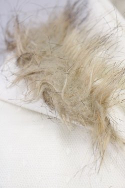 画像7: LIZ LISA / ドットチュール重ねショートコート  白 T-25-04-20-011-LO-CO-SA-ZI