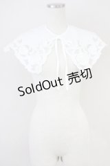 axes femme / バラレース付け襟  ホワイト T-25-04-21-023-AX-ZA-SA-ZI