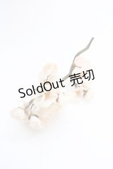 WONDERFUL WORLD / 桜コサージュ  ピンク T-25-04-25-011-LO-ZA-SA-ZT