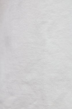 画像4: Jane Marple / 白鳥刺繍ワッペン半袖カットソー  白 T-25-06-06-005-JM-TO-SA-ZT
