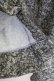 画像5: axes femme / 花柄メンズシャツ M グリーン T-25-07-02-016-AX-BL-SA-ZT (5)