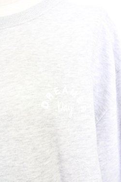 画像3: axes femme / 薔薇刺繍×英字プルオーバー L グレー T-25-07-05-004-AX-TO-SA-ZI