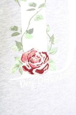 画像5: axes femme / 薔薇刺繍×英字プルオーバー L グレー T-25-07-05-004-AX-TO-SA-ZI