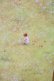 画像3: Franche Lippee / 花かんむり゜ルオーバー  イエロー T-25-07-17-008-LO-TO-HI-ZT (3)
