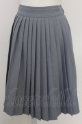 Fi.n.t / 細プリーツスカート  グレー T-25-07-24-040-CA-SK-SA-ZT