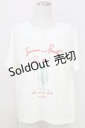 axes femme / 襟付クリームソーダ柄Tシャツ  アイボリーＸ白 T-25-07-24-005-AX-TS-SA-ZI