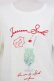 画像4: axes femme / 襟付クリームソーダ柄Tシャツ  アイボリーＸ白 T-25-07-24-005-AX-TS-SA-ZT (4)