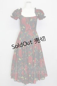 Selkie / Eden Garden Party Dress S 黒Ｘ赤 T-25-08-06-015-LO-OP-SA-ZI