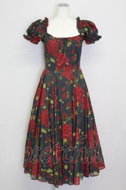 画像1: Selkie / Eden Garden Party Dress S 黒Ｘ赤 T-25-08-06-015-LO-OP-SA-ZT